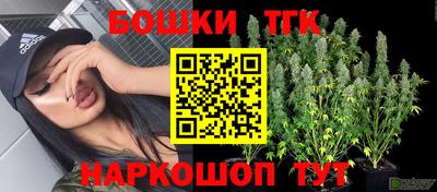 ПСИЛОЦИБИНОВЫЕ ГРИБЫ Сланцы