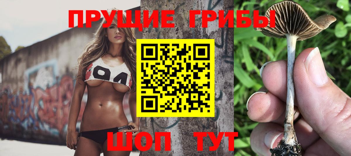Псилоцибиновые грибы Psilocybe Асбест